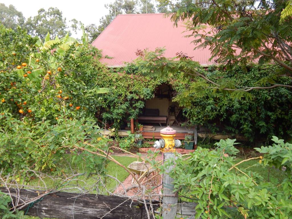 a colour image of a old wooden cottage with lots of greenery